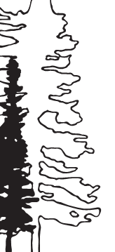 Fortitude Consulting